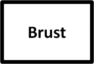 brust-uebungen