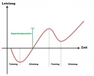 Trainingsplateau Muskelaufbau Training