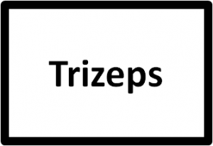 Trizepsübungen