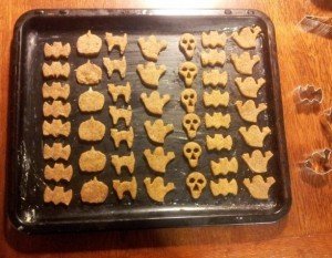 Protein Cookies, Eiweiß Snack, Eiweißriegel, Eiweißgebäck, Eiweiß cookies