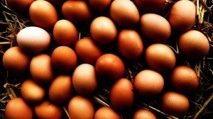 eier Muskelaufbau Ernährung