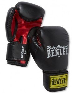 Boxhandschuhe im test