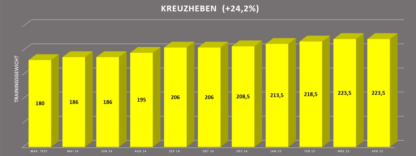 Wendler 531 Kraftaufbau Trainingsplan