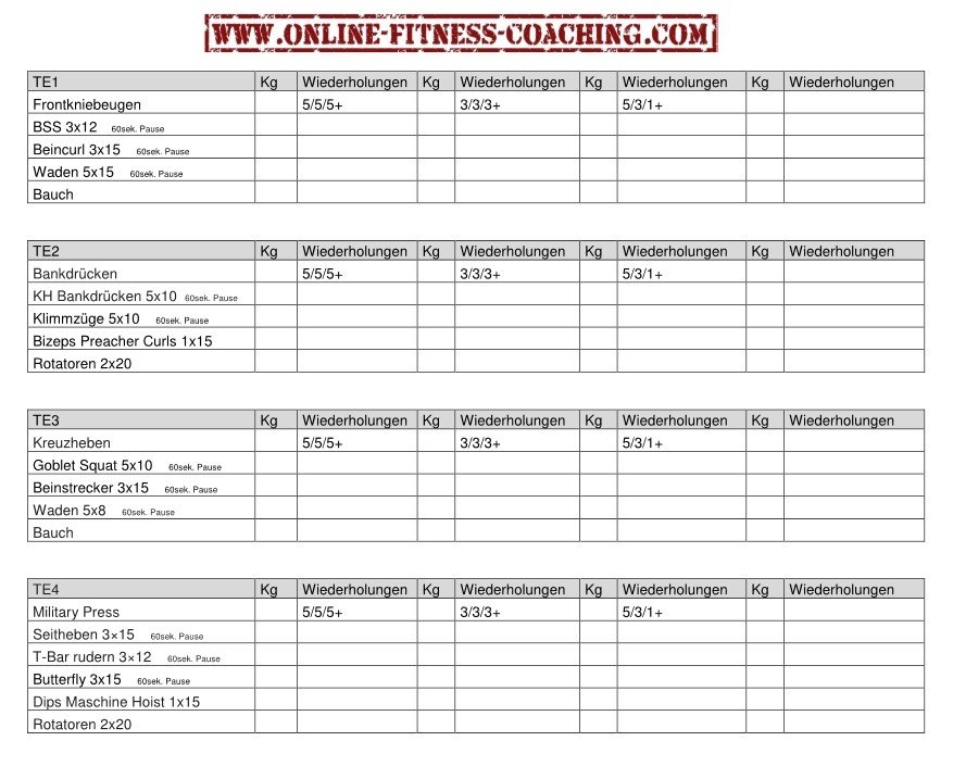 Wendler 531 Trainingsplan