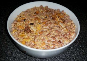 Protein Müsli Test kaufen Eiweißmüsli