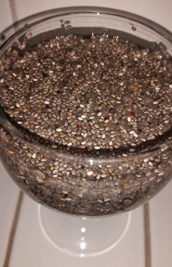 Chia Pudding Rezept mit extra viel Protein