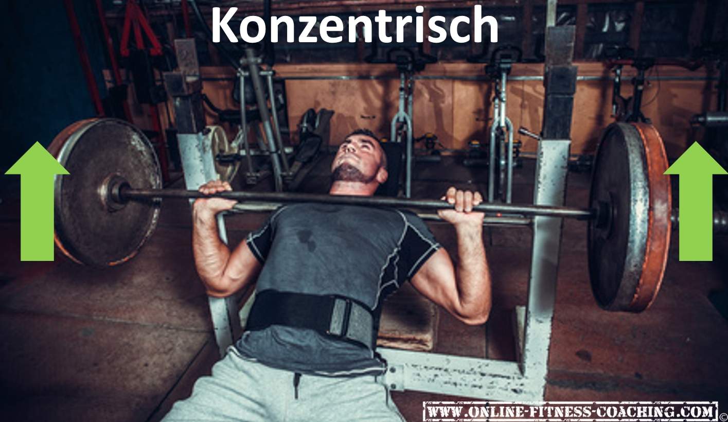 Exzentrische, Konzentrische und Isometrische Kraft | Definition und Anwendung im Training