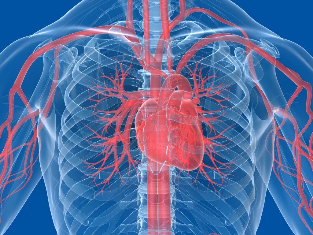 Cholesterin Lüge