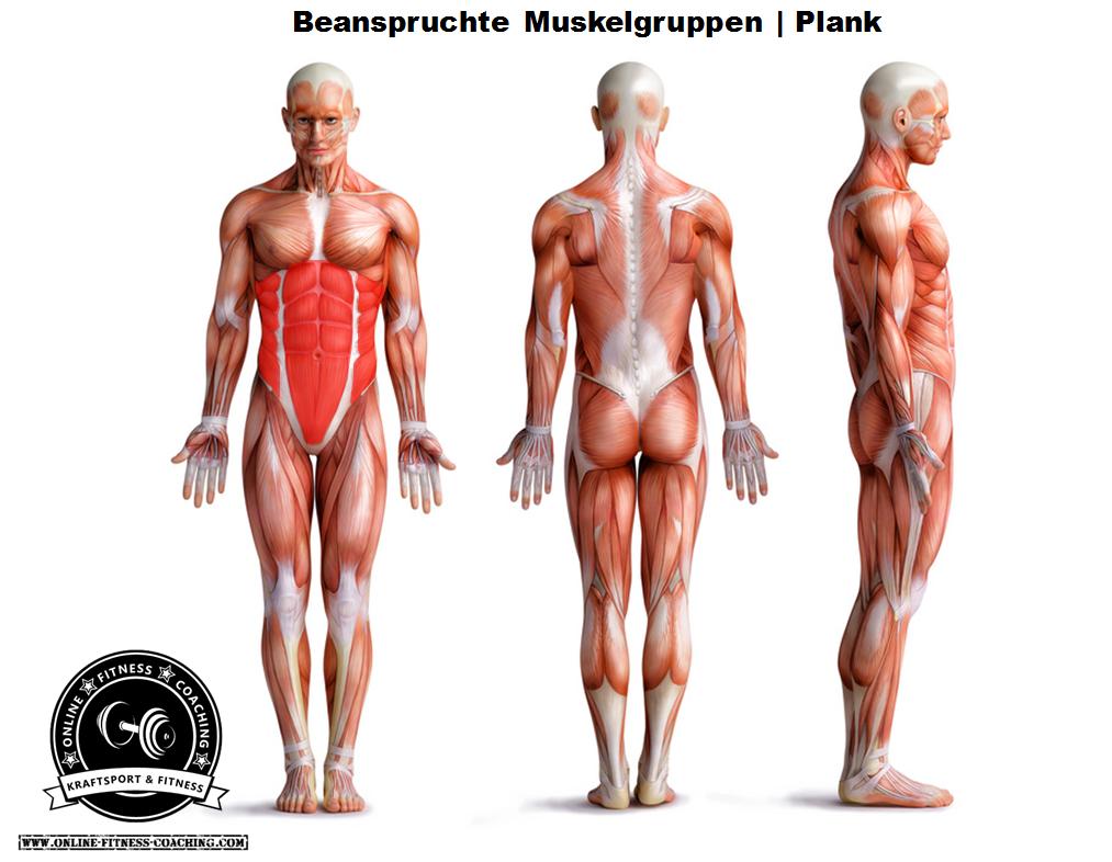Plank Muskeln Unterarmstütz