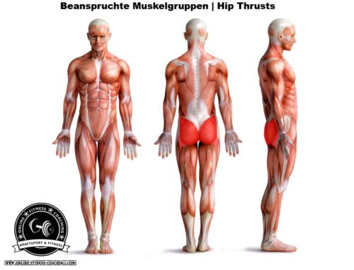 Hip Thrust: Anleitung und Tipps zur richtigen Technik