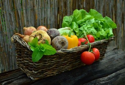 PSMF-Diät Ernährung & Training