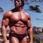 Arnold Schwarzenegger Trainingsplan