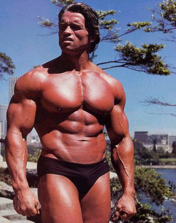 Arnold Schwarzenegger Trainingsplan Tipps Der Legende