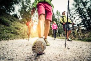 Nordic Walking Stöcke Test & Vergleich 2019 Nordic Walking Stöcke Test & Vergleich 2019