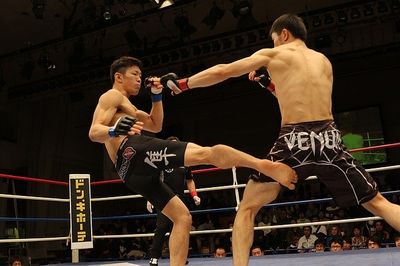MMA Handschuhe Testsieger (1)