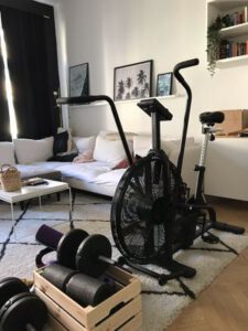 Air Bike fuer Zuhause Testbericht