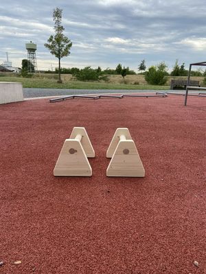 Parallettes Testbericht