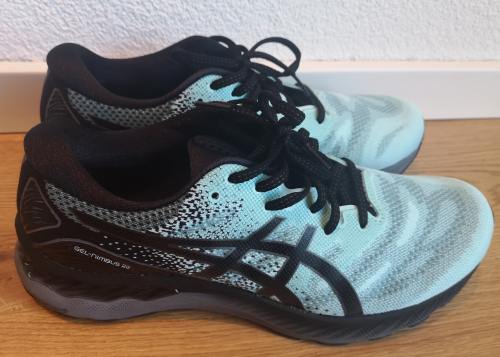 Laufschuhe asics test