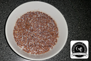 Ironmaxx Protein Müsli im Test