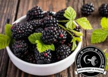 Sind Brombeeren gesund?