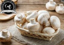 Sind Champignons gesund?