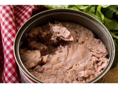 Wie gesund ist frischer Thunfisch Thunfisch aus der Dose und Thunfischsalat