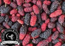 Sind Maulbeeren gesund?