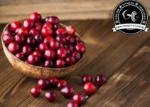 Sind Cranberries gesund?