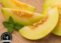 Ist Honigmelone gesund?