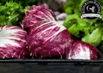 Ist Radicchio gesund?