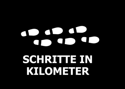 Rechner: Schritte in Kilometer