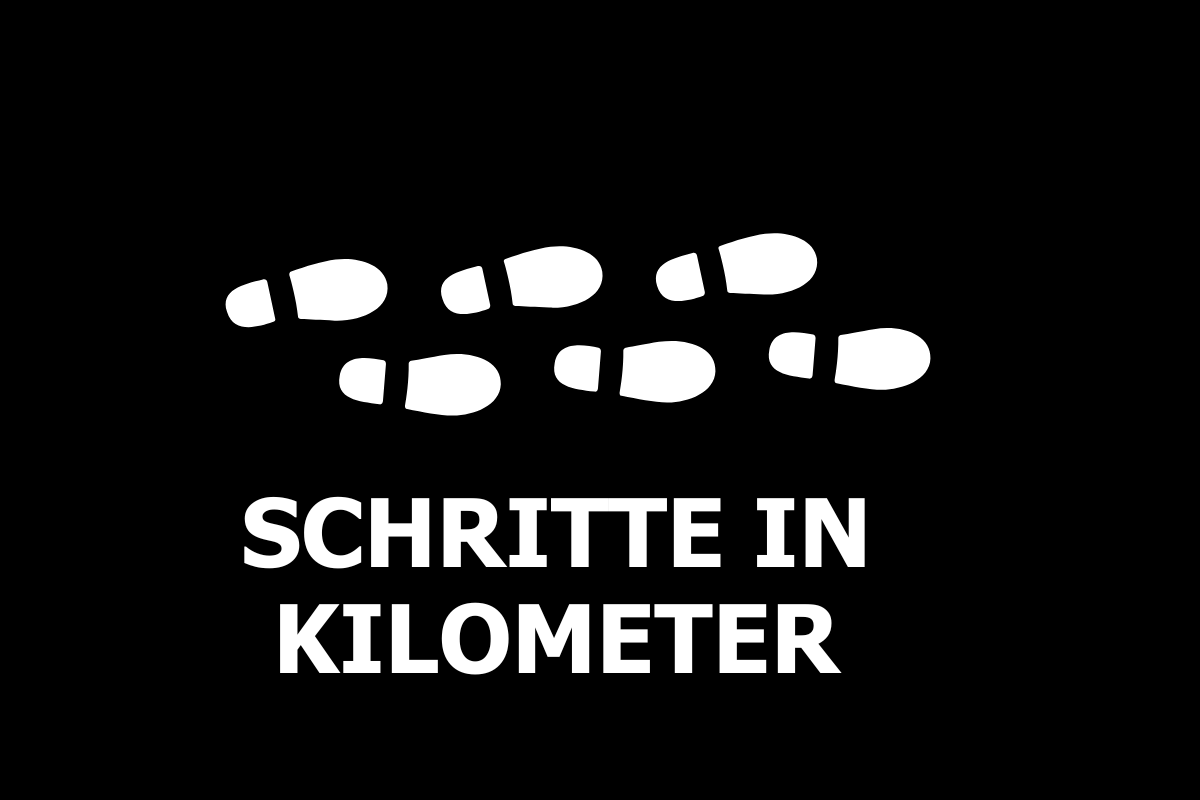 Rechner Schritte in Kilometer